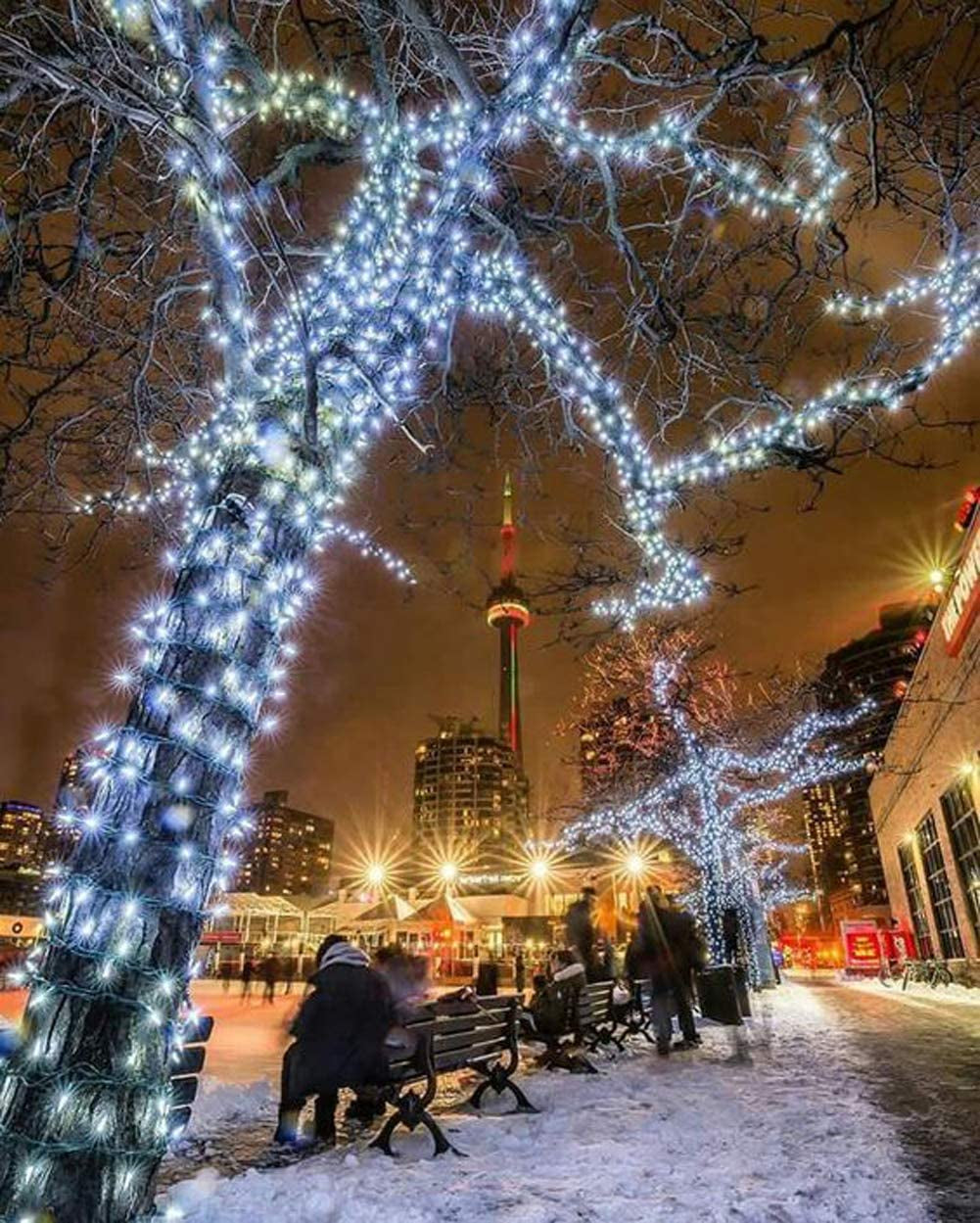 66Ft 200 LED Indoor String Lights, Pulg in String Lights 8 Modes Waterproof Indoor Outdoor Christmas Tree Wedding Party Bedroom Decorations (White)